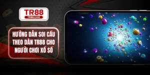 hướng dẫn soi cầu theo dàn